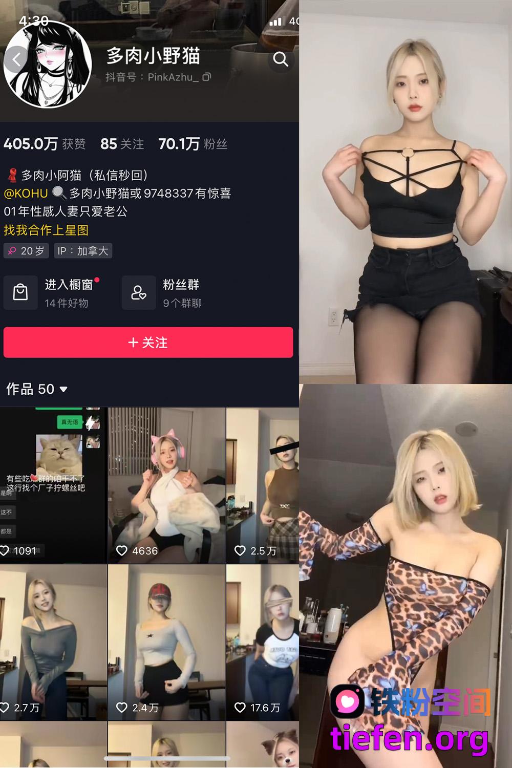 铁粉空间